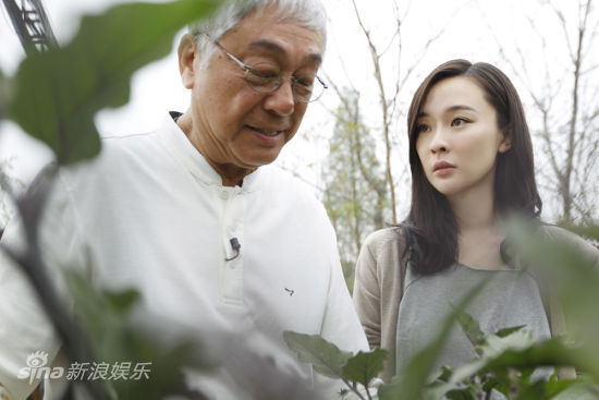 �����ݼ���տ