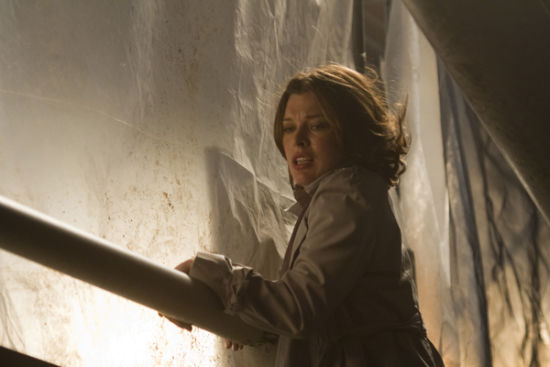 ����ά�������������