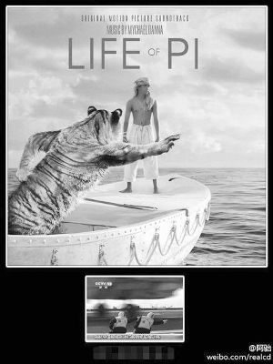 《少年派的奇幻漂流》产生各种流派观后感