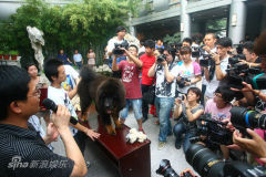 ������༪����ӳ��ϯ�α���ǰ��Ӱ(��ͼ)