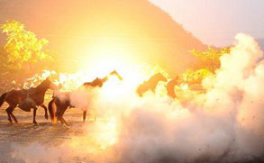 ��С�ա����֡������ڼ佫��ͣս�� ��