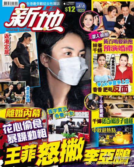 港媒曝王菲离婚内幕:李亚鹏出轨被抓包