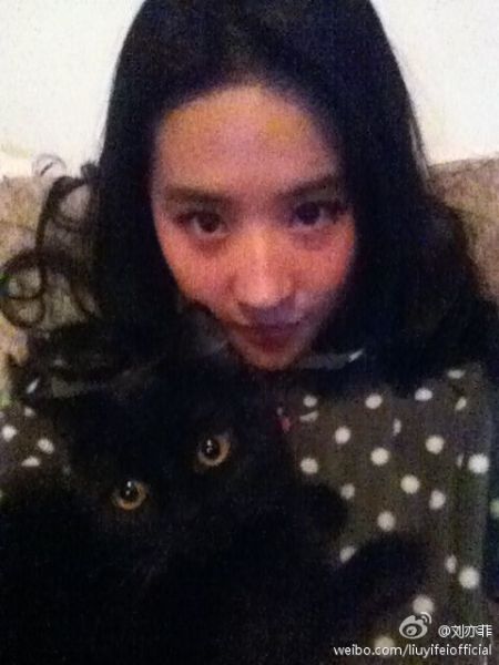 刘亦菲与猫咪比眼大