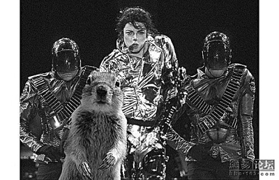 “抢镜”松鼠走红网络 奥巴马英女皇都被抢风头