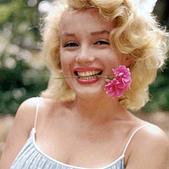 ��¶��������