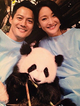 ��ʥԶ��Ѹ50�����������۱���