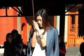 ȫ���������Ըг��������Ϲ�����