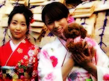 深田恭子为新剧祈福宠爱小狗对婚姻不看重(图)
