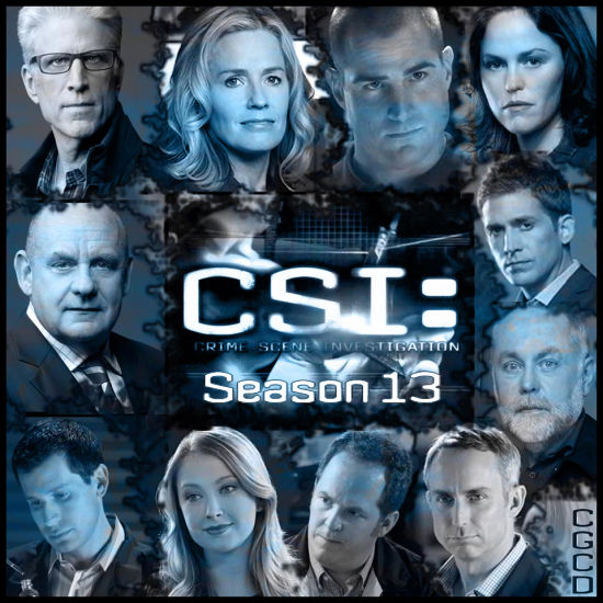 CSI13زɼ