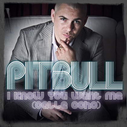 ۶Pitbull׽ǰʮ(ͼ)