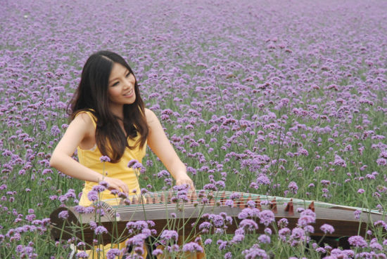 花海里拍mv(组图)