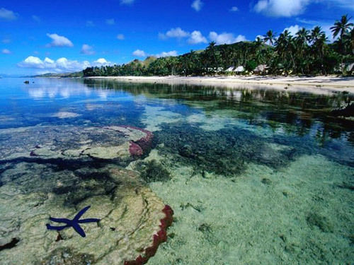 斐济:天堂洒落的珍珠|斐济|天堂|岛屿_新浪时尚_新浪网