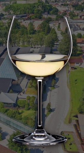 四种常见葡萄酒杯 展现红酒独特魅力