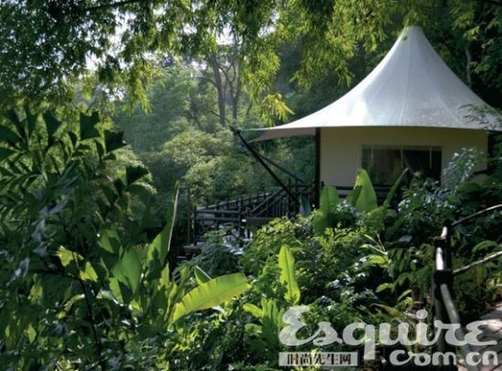 Four Seasons Tented Camp Golden TriangleƵ