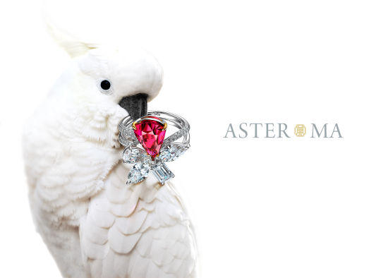 (Aster Ma)߼鱦ƺ챦ʯָ