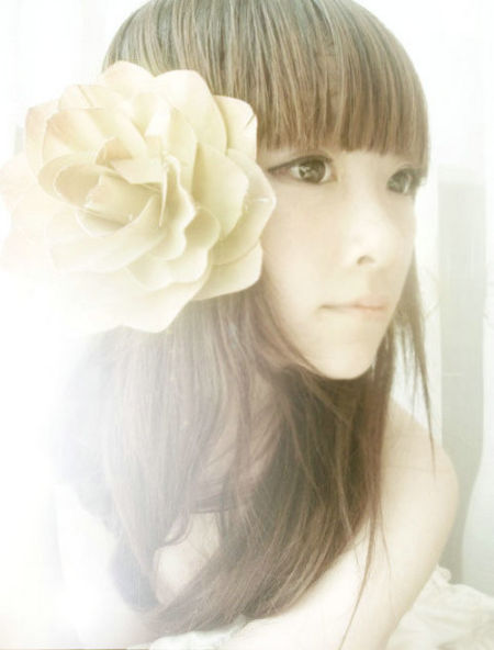 ����ʯͷ��OL���ɶ�������������