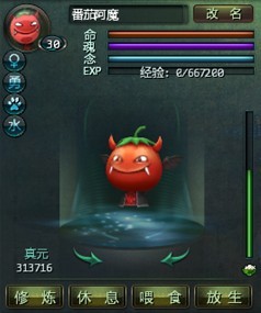 超萌番茄灵兽 超萌番茄灵兽