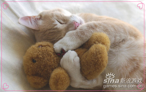 梦境中的纯洁使者,解析做梦梦到白猫的寓意与影响 梦境中的纯洁使者,解析做梦梦到白猫的寓意与影响