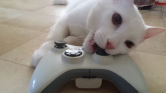 ��ҳ�������Ϸ���ȴ�����