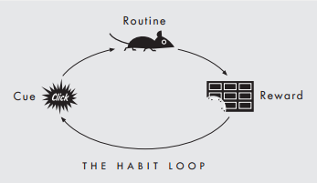 1-habit-loop