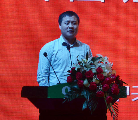 2015动漫游戏产业高峰论坛在玉山举行