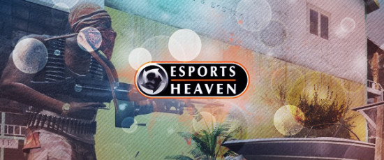 Esports Heaven banner
