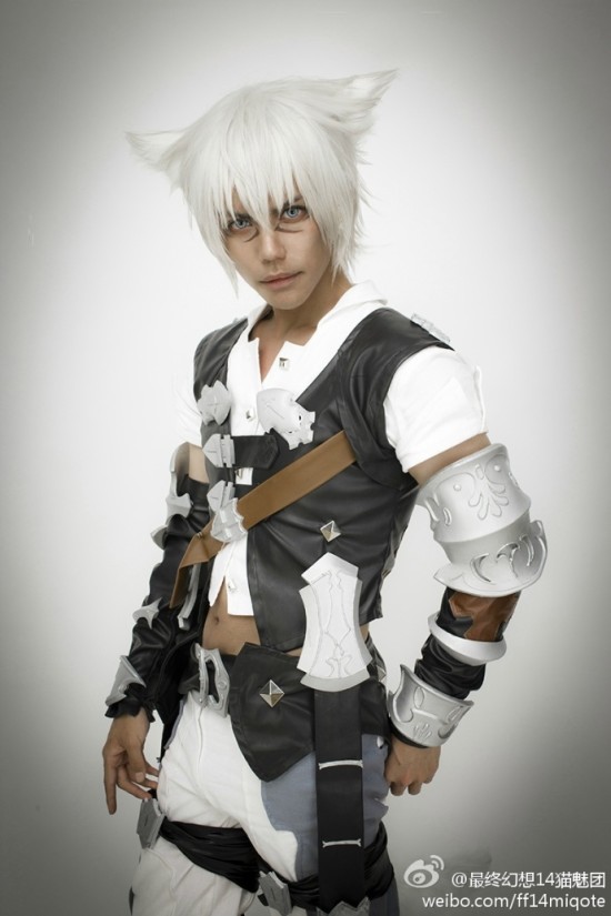 �������� FF14�ٷ�è����С��è�����ͼ