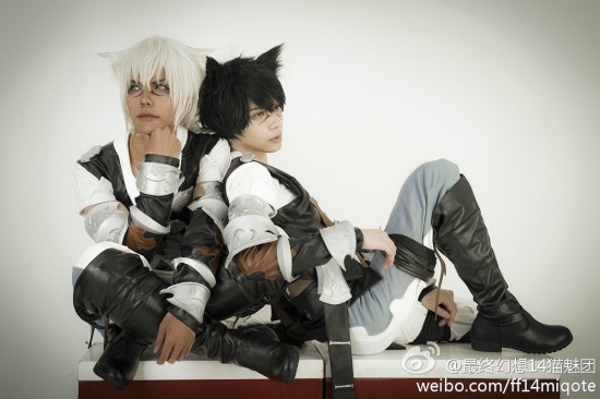 �������� FF14�ٷ�è����С��è�����ͼ