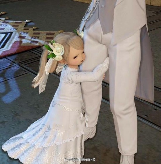 FF14玩家婚礼登记任务截图 婚礼服简直美哭了