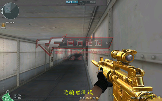 �ݻ�ڹ�ʹ���M4A1-Custom ������Ĵ���