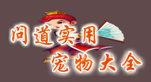 �ʵ�