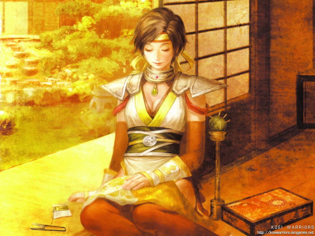 《战国无双2》游戏壁纸(9)