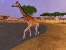giraffe.jpg - 142,853 bytes