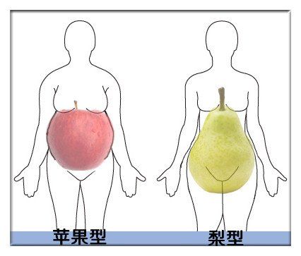 苹果型身材伤寿命 减肥关注 三修健康