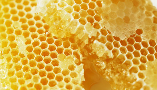  Why there is chloramphenicol in honey