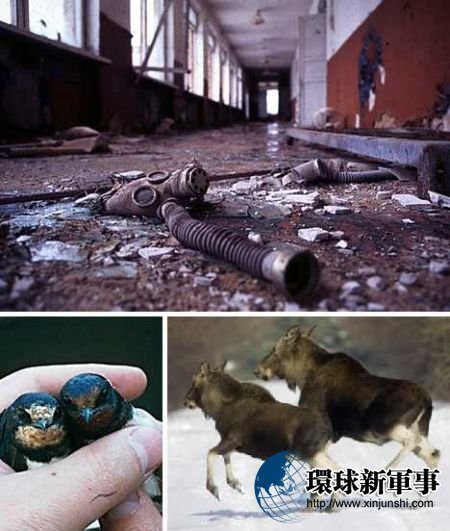 历史罪人 解密全球不堪回首的核事故 历史频道 新浪网