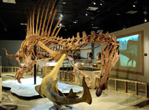 华为p50参数配置