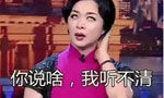 2015的网络流行语盘点