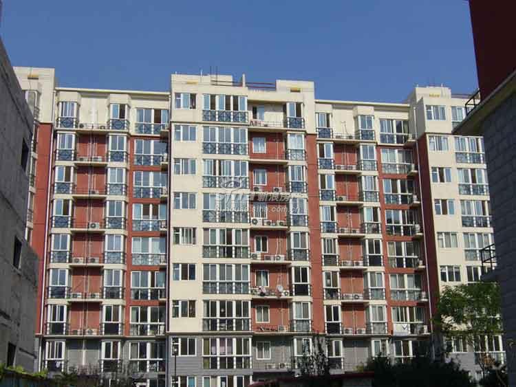 中国房子+效果图+楼座外观实景图