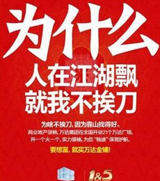 中国地产志营销篇_记录2009地产广告创意光影