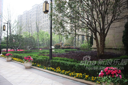 看房第一站 绿城新绿园