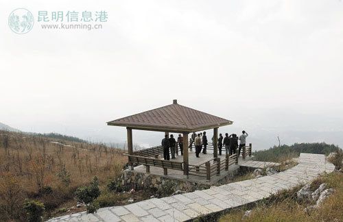 "一日游"队员在长虫山生态公园眺望昆明城区