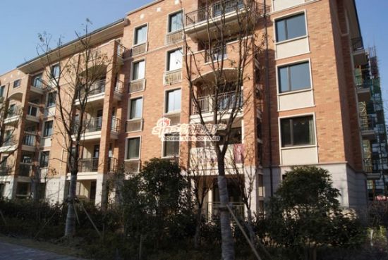 北至梅兰东路,南临江苏畜牧兽医职业学院,东依328国道,西靠春晖路,总图片