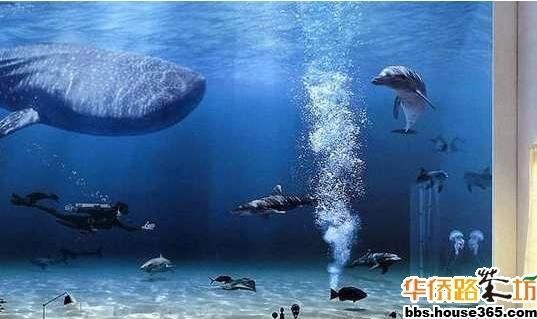 比尔盖茨豪宅装修曝光 豪华程度全球第一(图)_