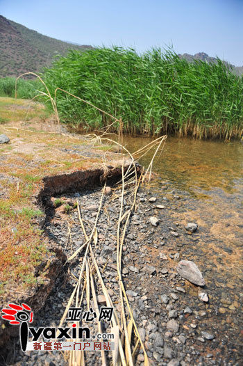 采砂场挖断水源 新疆乌鲁木齐白湖湿地即将消