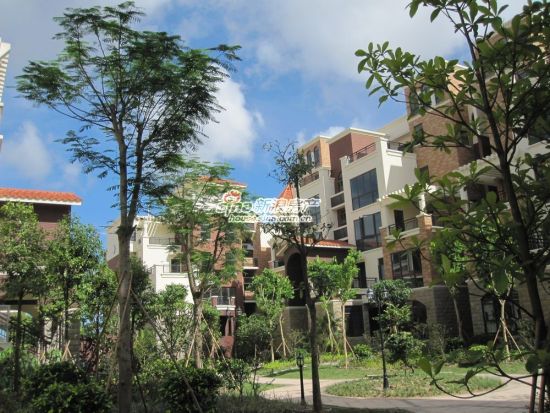 峥嵘初显 龙光阳光海岸携手世界500强抢滩广西