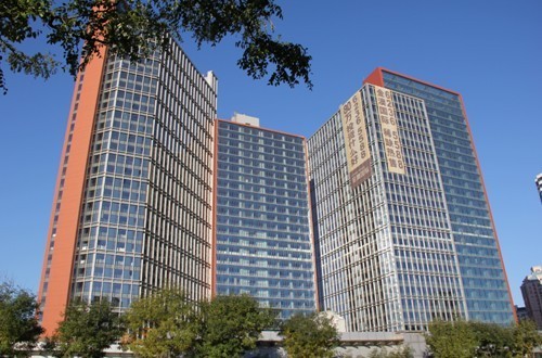 金澳国际逆市热销