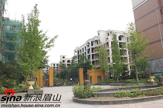碧华林社区实景 碧华林社区实景