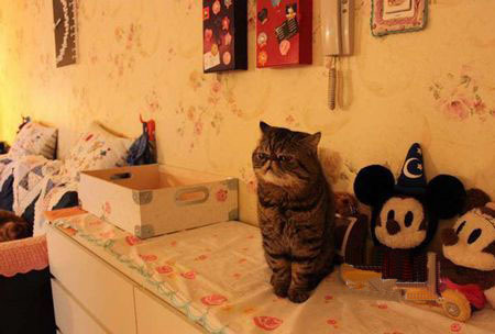 Сè˯ˣˣװɰ
