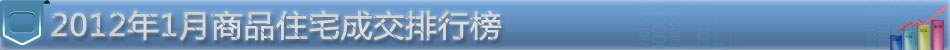 数据标题文字6